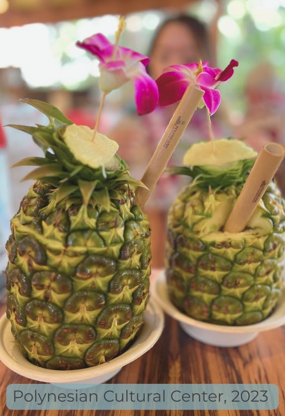 Polynesian Cultural Center – Drinks